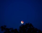 Bluttmound 7.9.2025 005