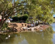 Bréck 29.8.2025 007