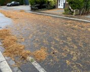 Héichwaasser Schued 9.9.2025 001