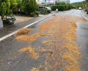 Héichwaasser Schued 9.9.2025 002