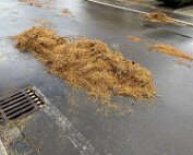 Héichwaasser Schued 9.9.2025 003