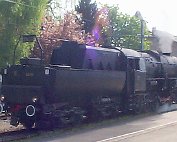 LOk5519