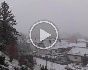 Schnéi 24.1.2015