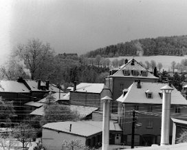 Dikrich am Schnéi