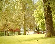 Park 1.11_002