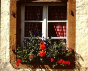 dikrich 06.1982_010