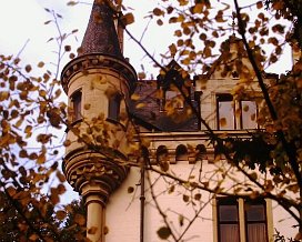 Dikrich am Oktober