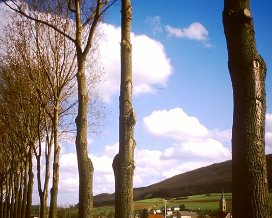 Parc