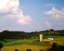 Dupont