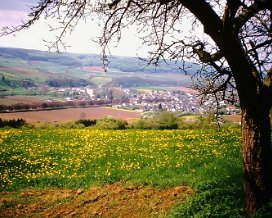 Landschaft