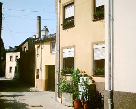 Dk1