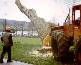 1995
