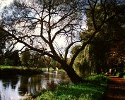 Parc 1.11.2001 0016