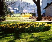 Lcd Park Suttor Blummen 28.3.2002 0003