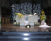 IMG_5387