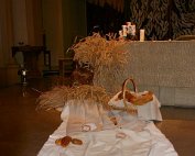 IMG_0110