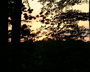 Himmel 24.6.2008 0025