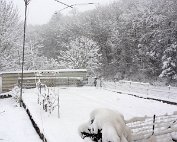 Schnéi 19.12.2010 014