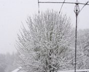 Schnéi 19.12.2010 015