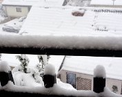 Schnéi 19.12.2010 016