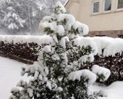 Schnéi 19.12.2010 021