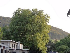 Av. Gare 25.9.2011