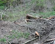 Beim Weier 15.4.2012 0009
