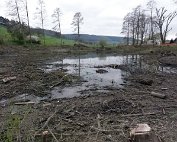 Beim Weier 15.4.2012 0011