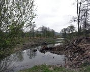 Beim Weier 15.4.2012 0017