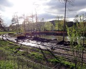 Beim Weier 2.5.2012 0008