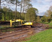 Beim Weier 2.5.2012 0011