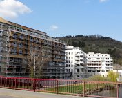 Dikrich 3.4.2012.2012 0019