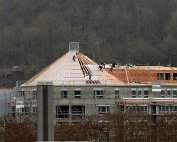 Dikrich 2.3.2012 022