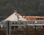 Dikrich 2.3.2012 024