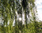 Lanscht Sauer 2.5.2012 0001