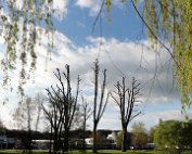 Lanscht Sauer 2.5.2012 0005