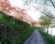 Lanscht Sauer 2.5.2012 0019