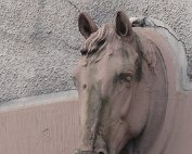 Am Gruef 10.10.2013 008