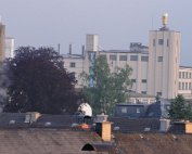 Dikrich 25.5.2013 008