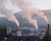 Dikrich 25.5.2013 009
