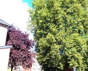 Park 10.10.2013 009