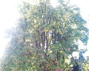 Park 10.10.2013 011