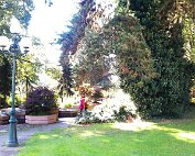 Park 10.10.2013 012