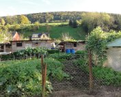 Diekirch 14.10.2014 014