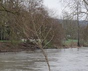 Dikrich 21.12.2014 0016