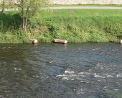 Fiscelsbréck,Ponton 27.7.2014 00004