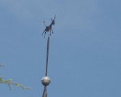 Iesel al Kierch 27.7.2014 00002