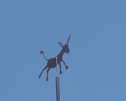 Iesel al Kierch 27.7.2014 00005
