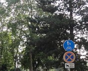 Park 27.7.2014 00003