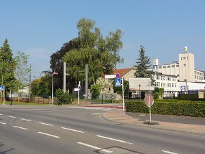 Dikrich 27.7.2014